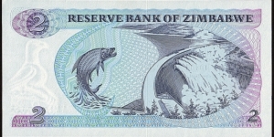 Banknote from Zimbabwe