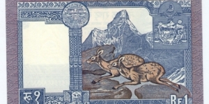 Banknote from Nepal