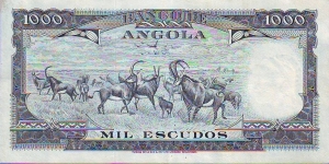 Banknote from Angola