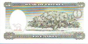 Banknote from Eritrea