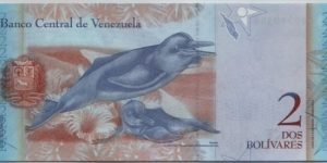 Banknote from Venezuela