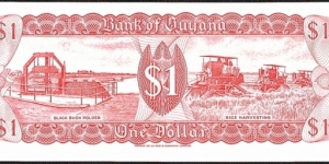 Banknote from Guyana