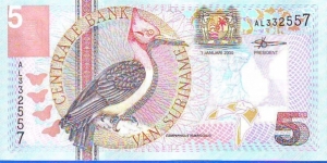  5 Gulden Banknote