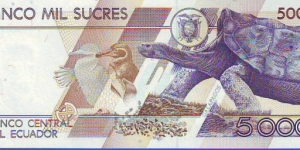 Banknote from Ecuador