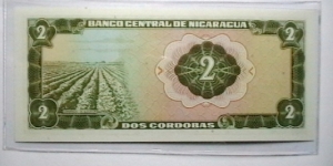 Banknote from Nicaragua