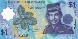 Brunei P22a (1 ringgit 1996) Polymer Banknote