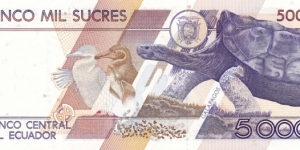 Banknote from Ecuador