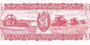 Banknote from Guyana