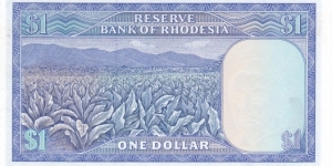 Banknote from Rhodesia