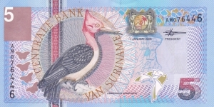 Suriname P146 (5 gulden 1/1-2000) Banknote