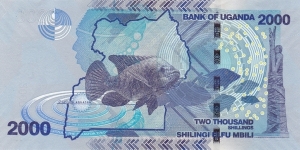 Banknote from Uganda