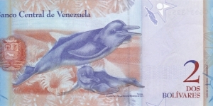 Banknote from Venezuela