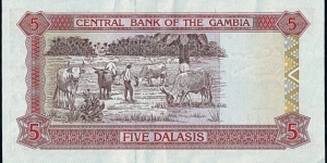 Banknote from Gambia