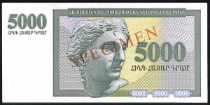 5000 Dram Reverse, Specimen Banknote