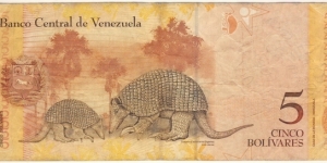 Banknote from Venezuela