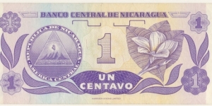 Banknote from Nicaragua