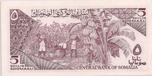 Banknote from Somalia