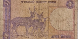 Banknote from Bangladesh