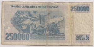 Banknote from Turkey