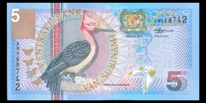 Suriname, 5 Gulden, 01/01/2000, P146 Banknote