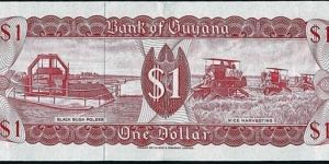 Banknote from Guyana