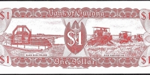 Banknote from Guyana