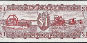 Banknote from Guyana