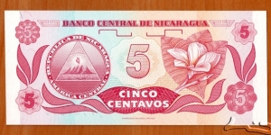 Banknote from Nicaragua