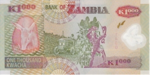 Banknote from Zambia