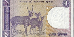 Banknote from Bangladesh