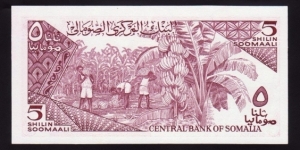 Banknote from Somalia