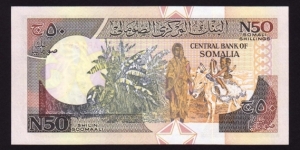 Banknote from Somalia