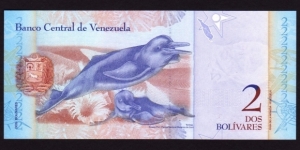 Banknote from Venezuela