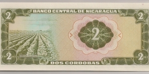 Banknote from Nicaragua