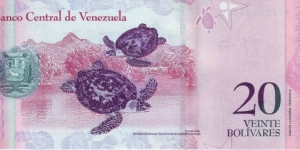 Banknote from Venezuela