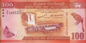  100 Rupees Banknote