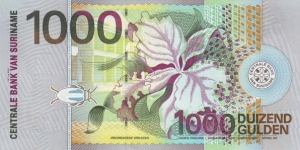 Banknote from Suriname