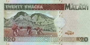 Banknote from Malawi