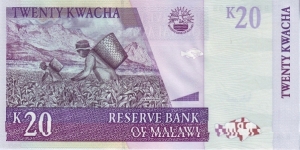 Banknote from Malawi