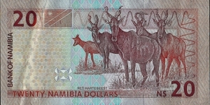 Banknote from Namibia