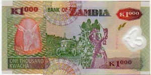 Banknote from Zambia