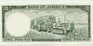 Banknote from Jamaica