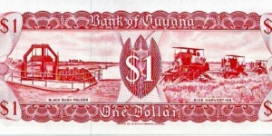 Banknote from Guyana