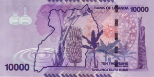 Banknote from Uganda