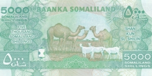 Banknote from Somalia