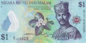  1 Dollar Banknote