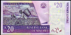 Banknote from Malawi