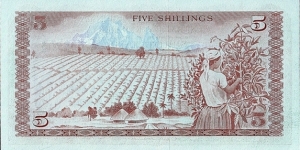 Banknote from Kenya