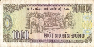 Banknote from Vietnam