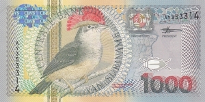 Suriname P151 (1000 gulden 1/1-2000) Banknote